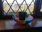 rainbow bowl planter