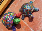 pair of painted tortoise